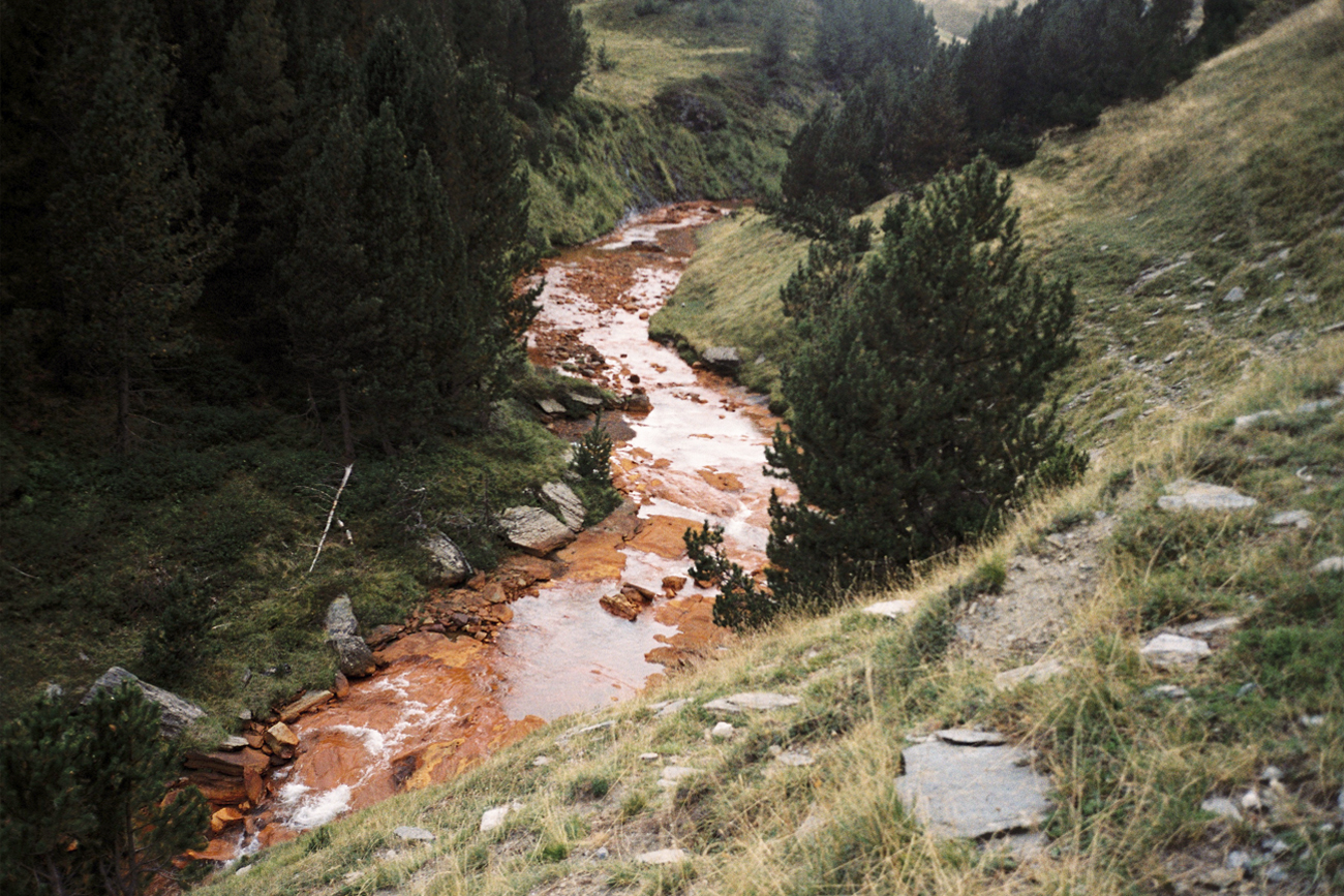 'A hierro' by irene grau