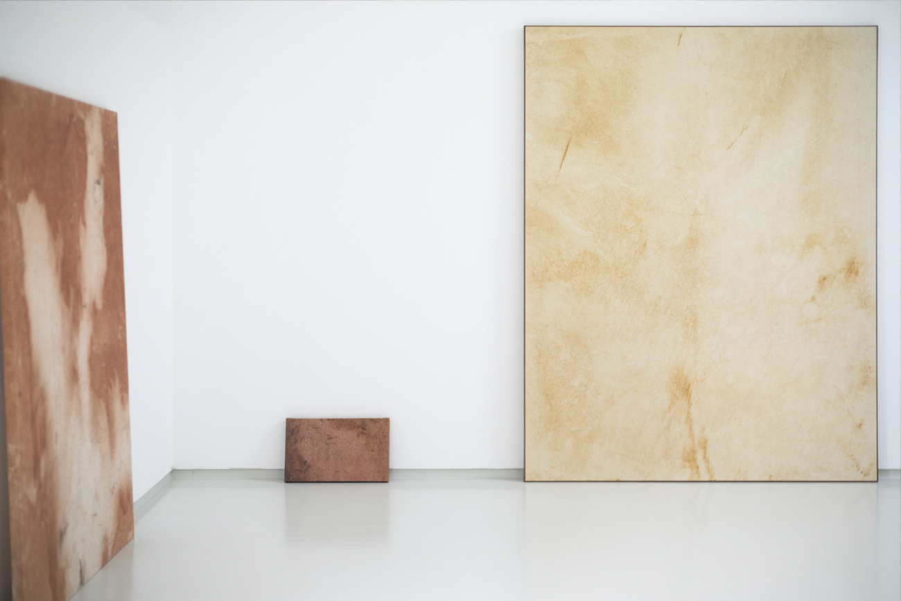 'A hierro' by irene grau