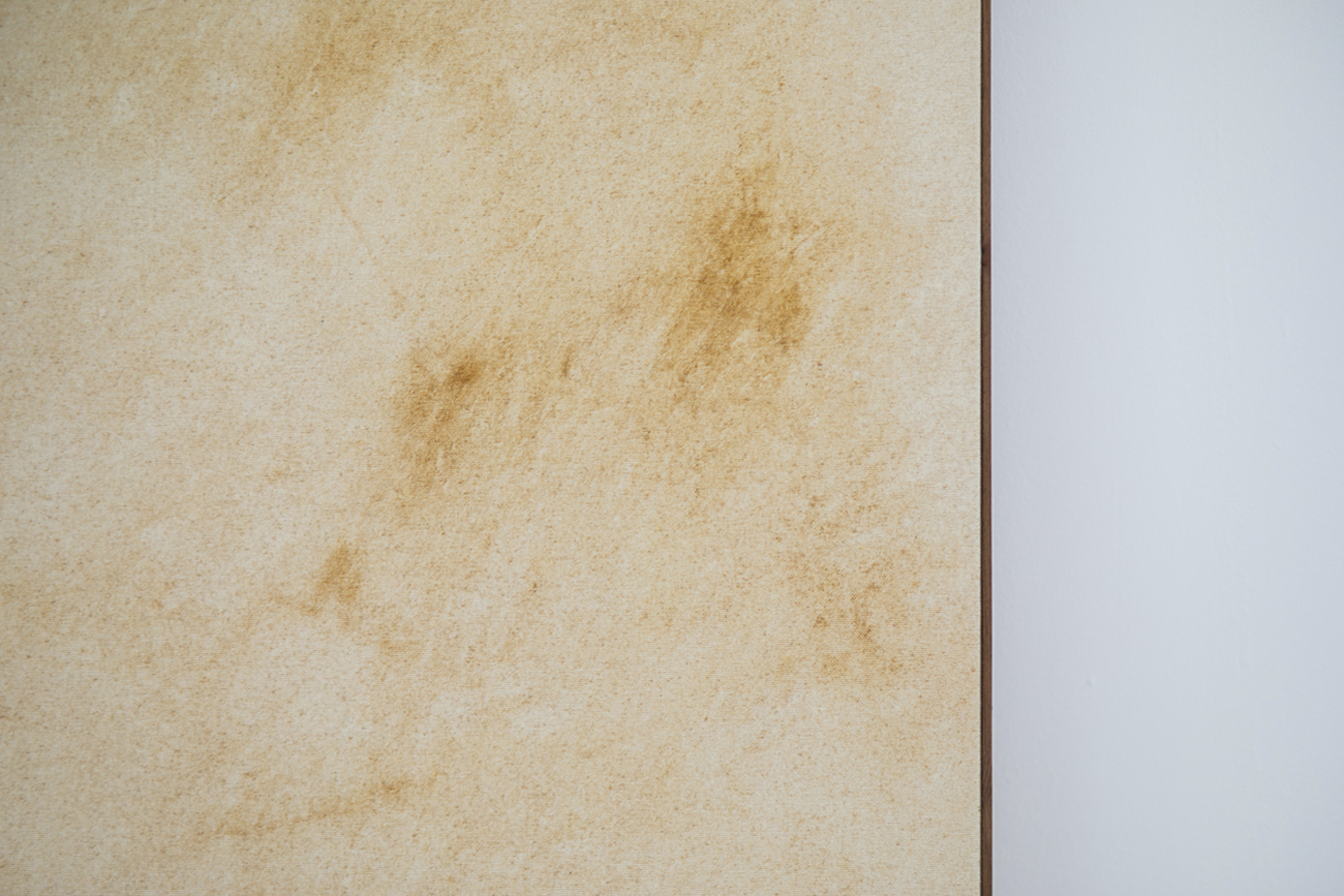 'A hierro' by irene grau