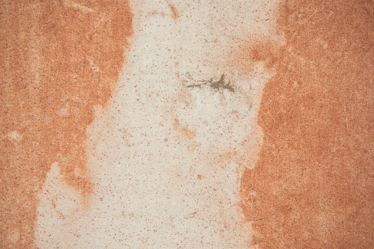 'A hierro' by irene grau