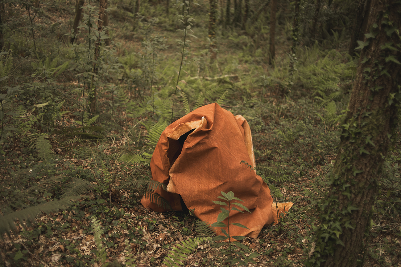 'brillo abrigo' by irene grau