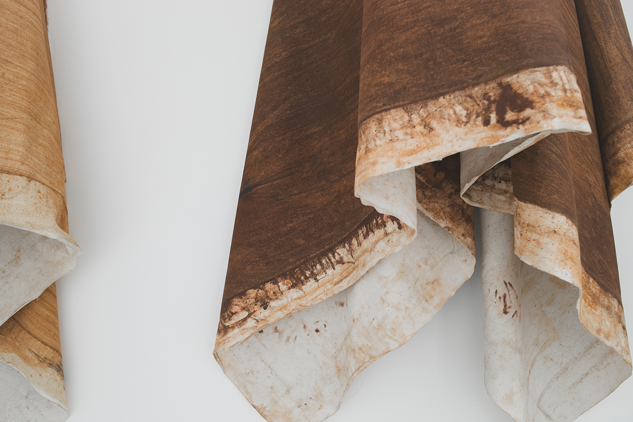 'brillo abrigo' by irene grau