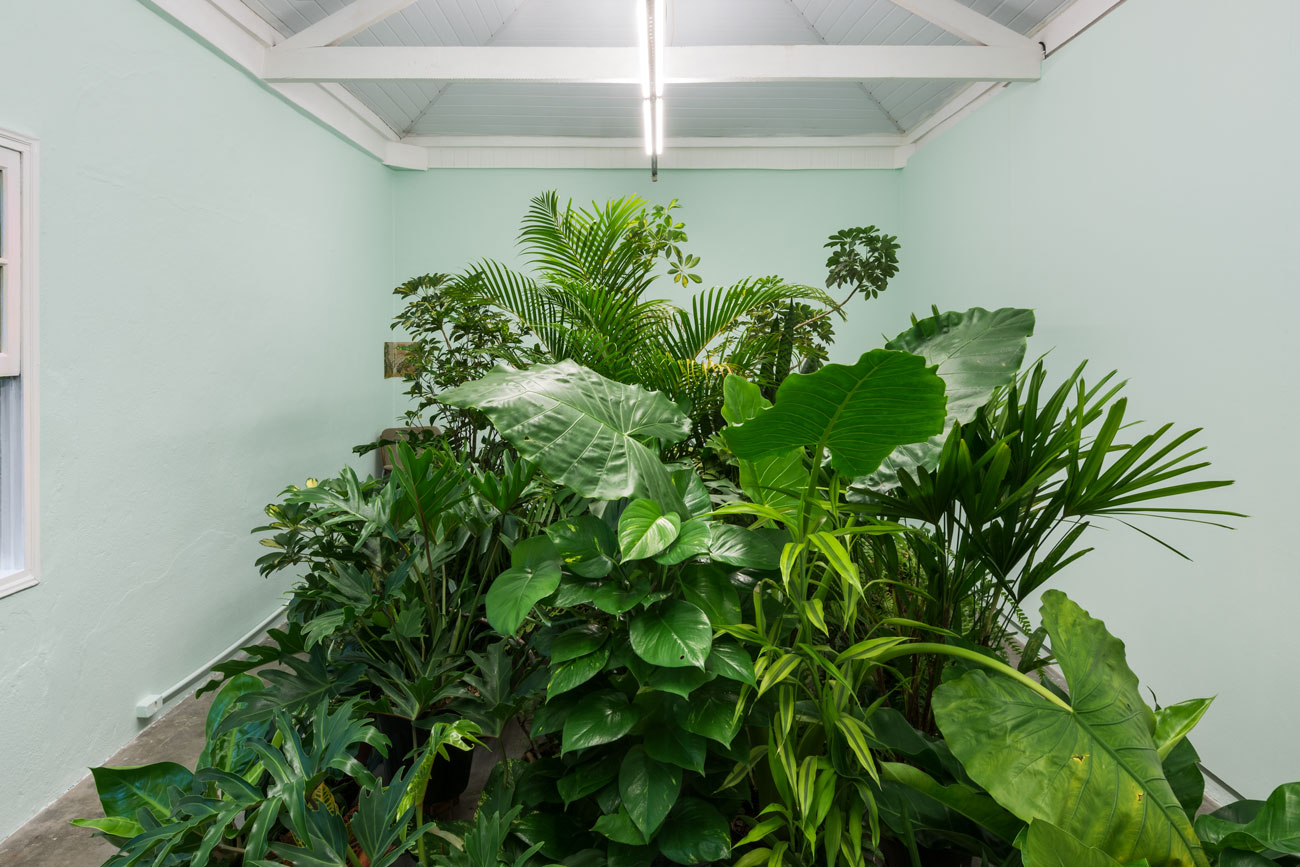 'caer y rodar' by irene grau, Projeto Fidalga, Sao Paulo, BR