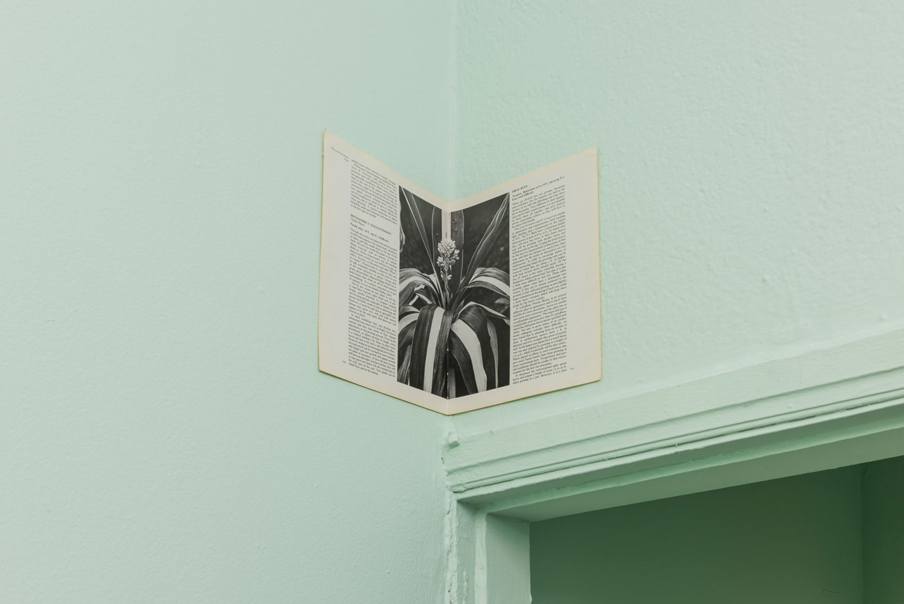 'caer y rodar' by irene grau, Projeto Fidalga, Sao Paulo, BR