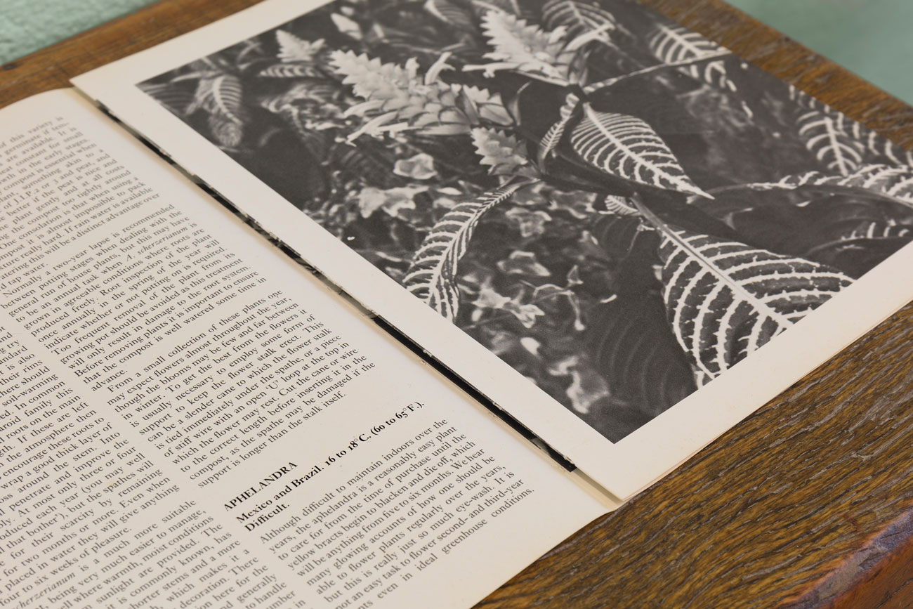 'caer y rodar' by irene grau, Projeto Fidalga, Sao Paulo, BR