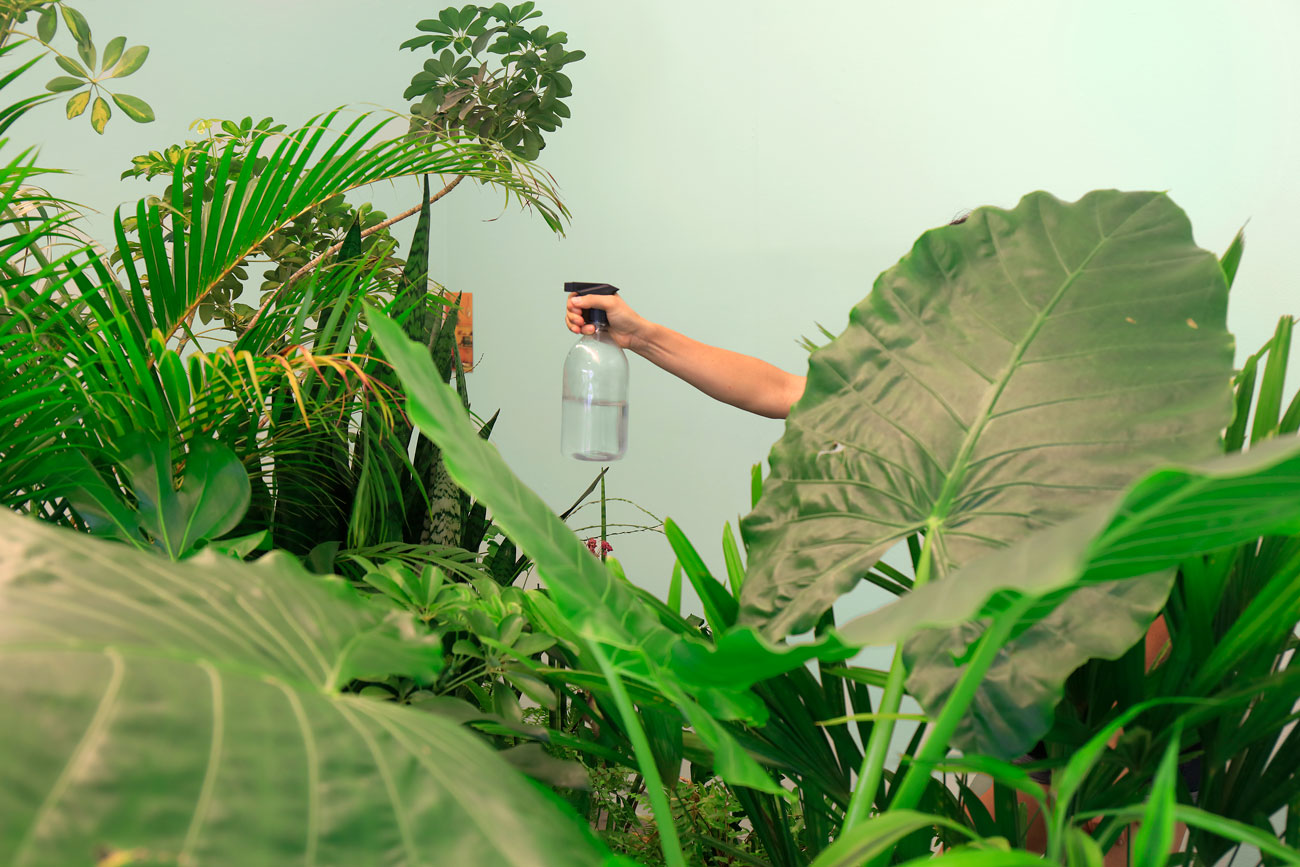 'caer y rodar' by irene grau, Projeto Fidalga, Sao Paulo, BR