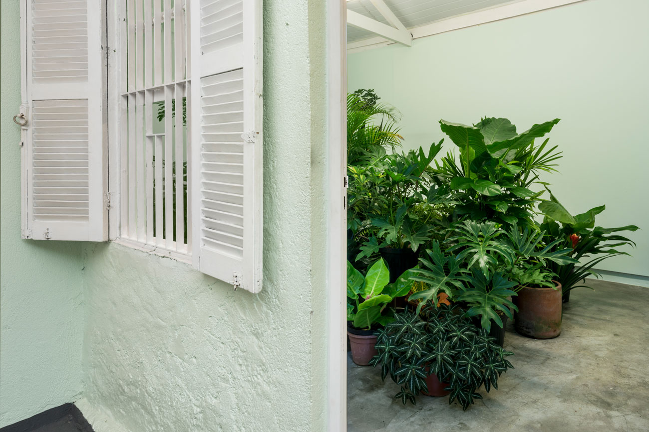 'caer y rodar' by irene grau, Projeto Fidalga, Sao Paulo, BR