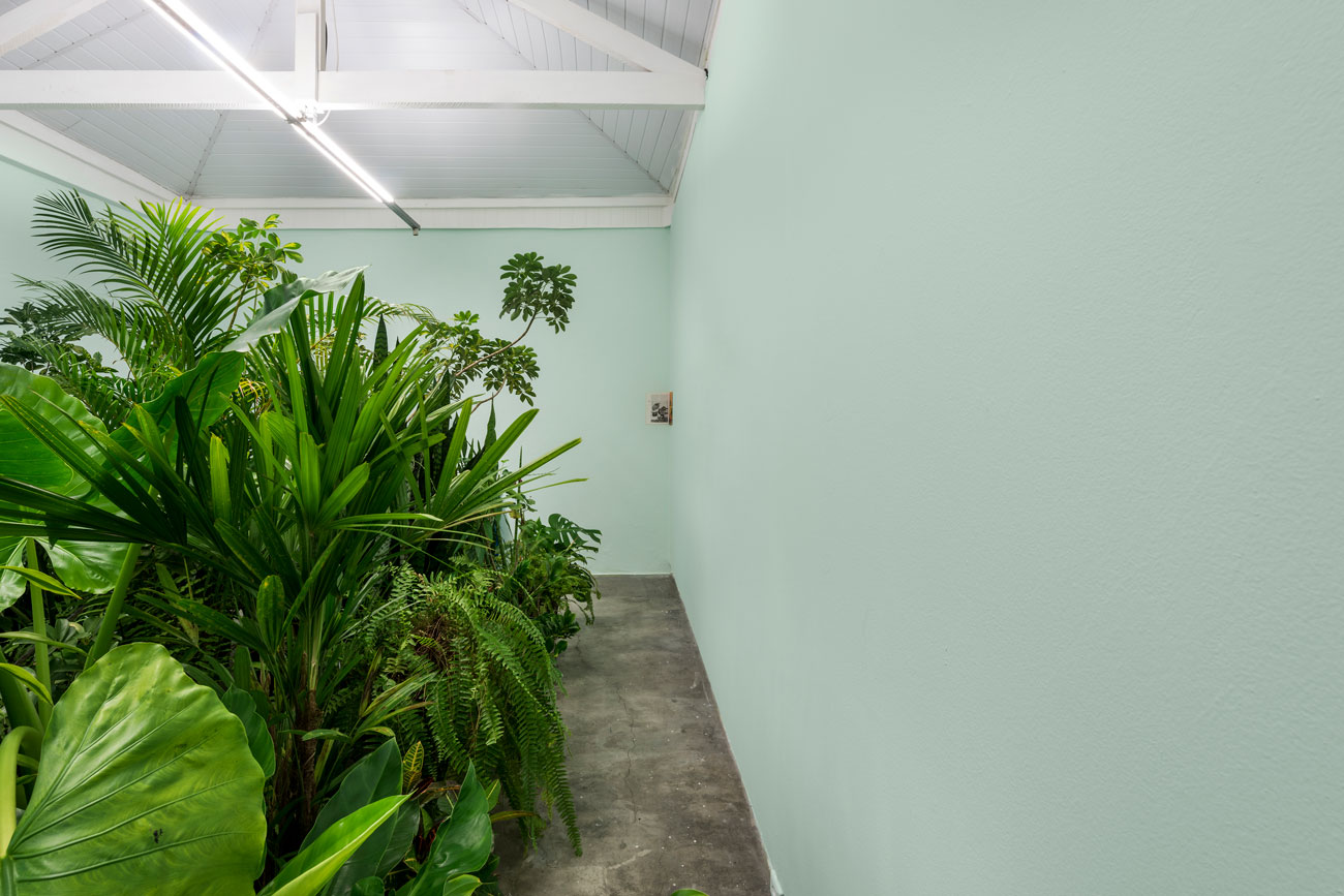 'caer y rodar' by irene grau, Projeto Fidalga, Sao Paulo, BR