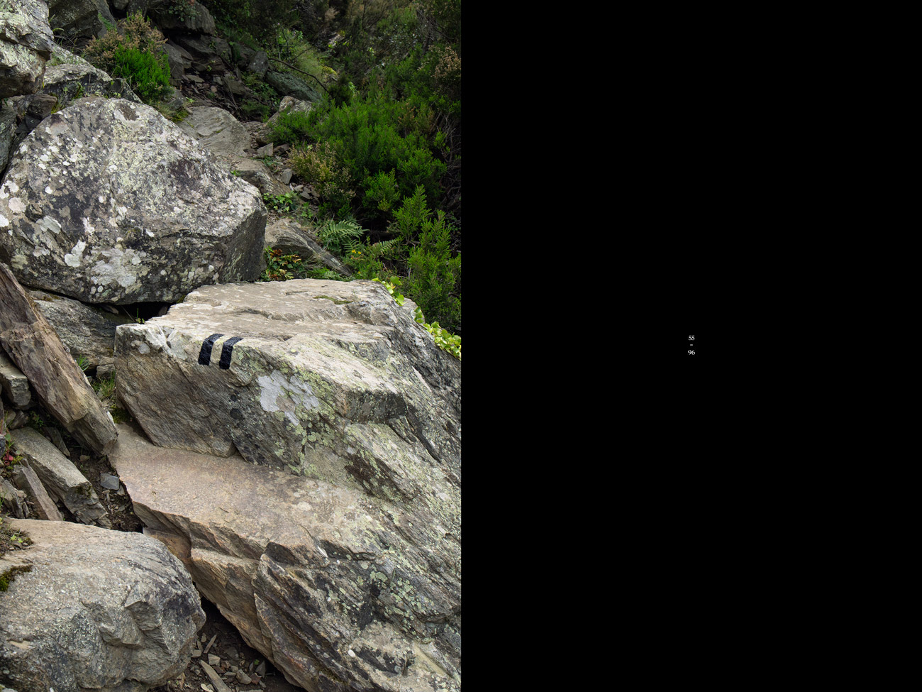 '55 = 96' Painting by irene grau