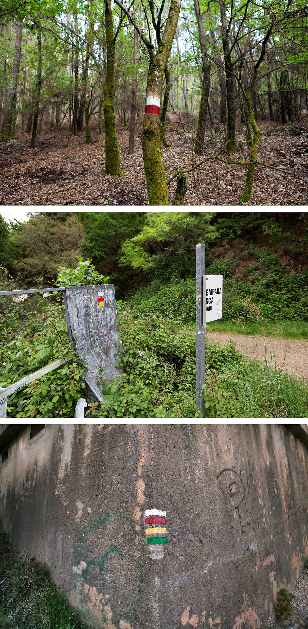 'Lo que importaba estaba en la l&iacute;nea, no en el extremo' by irene grau