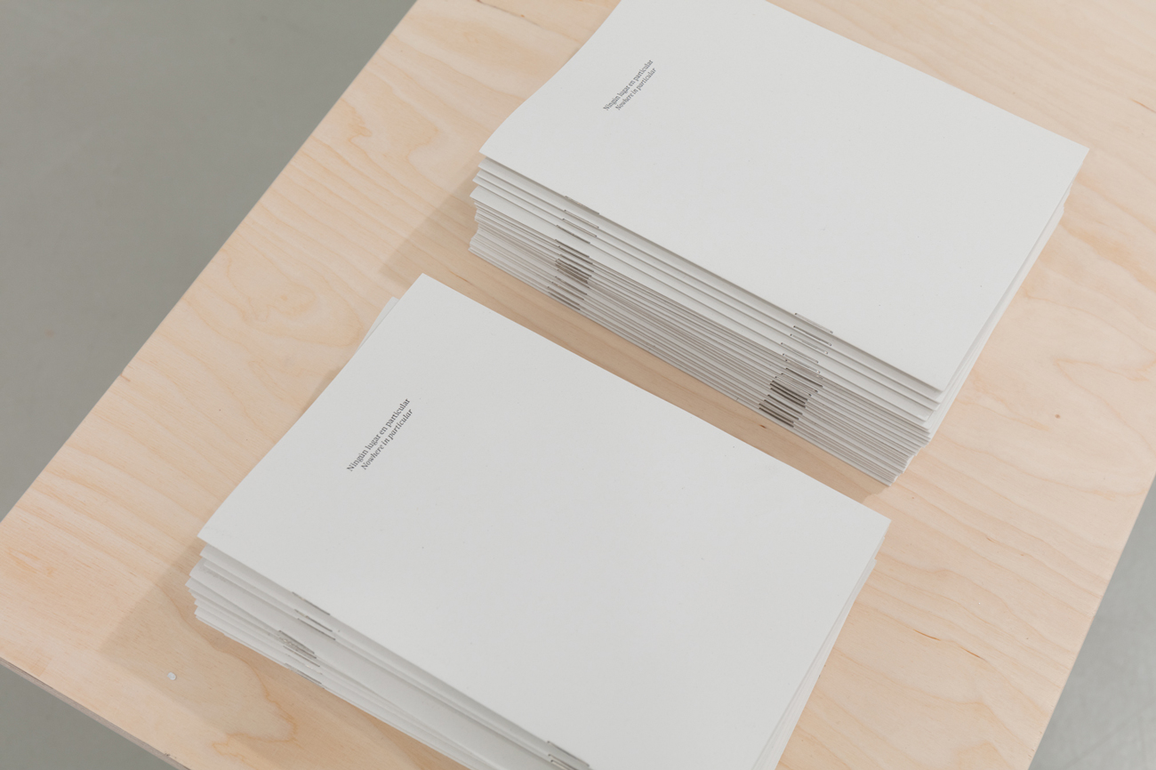 'Ning&uacute;n lugar en particular' by irene grau, La Casa Encendida, Madrid