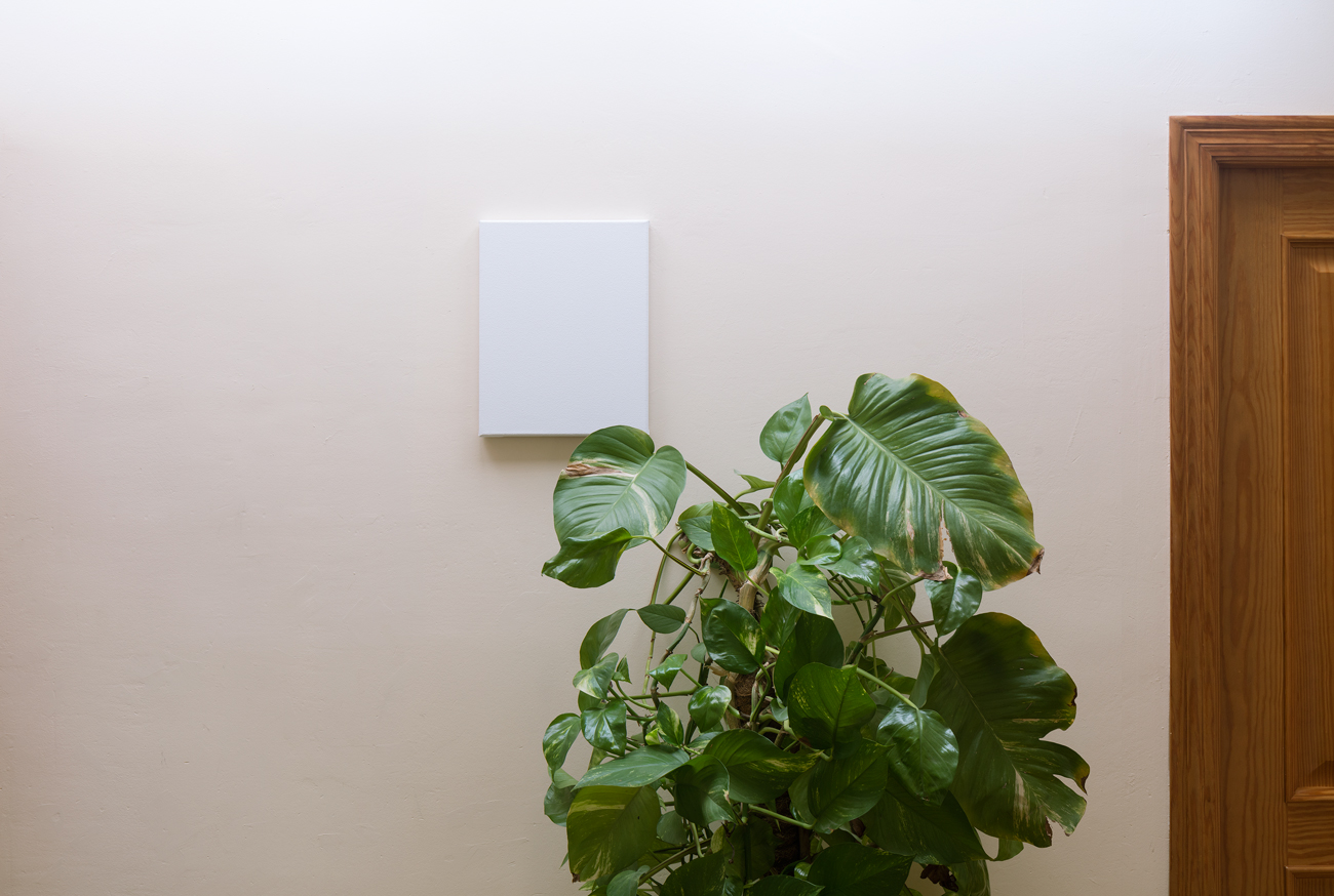 'Ning&uacute;n lugar en particular' by irene grau, La Casa Encendida, Madrid