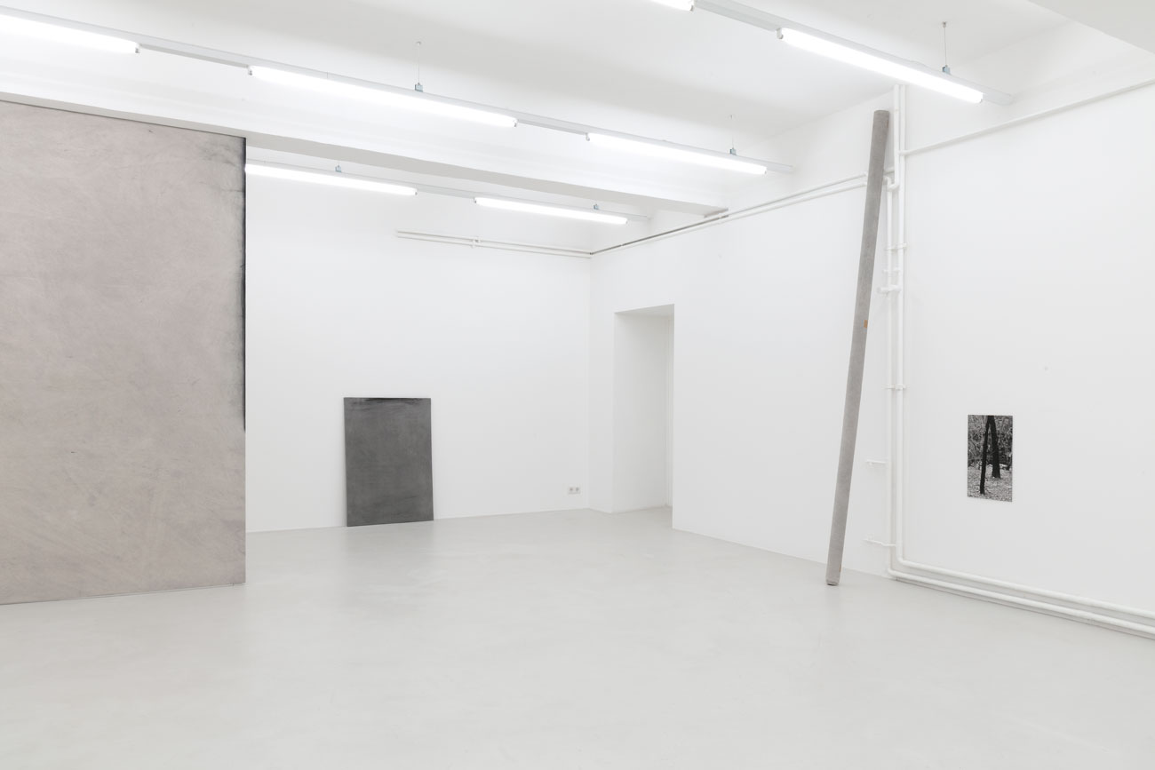 'on what is left' by irene grau