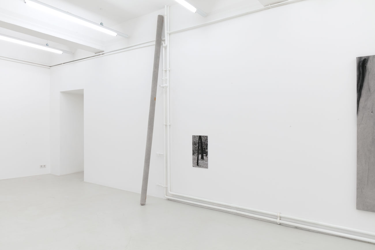 'on what is left' by irene grau