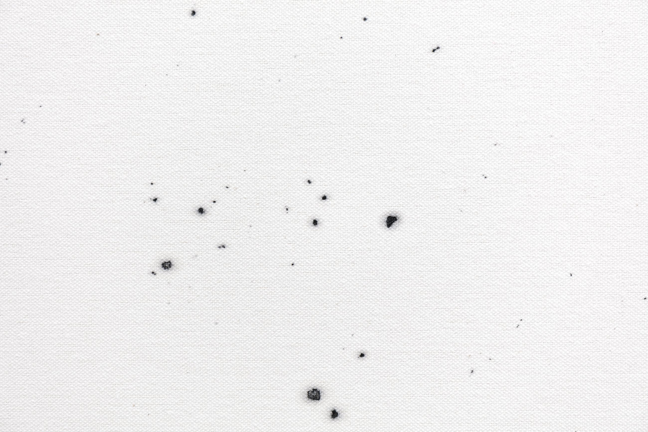 'on what is left' by irene grau