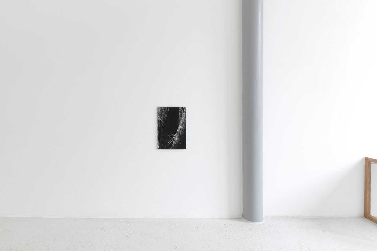 'on what is left' by irene grau