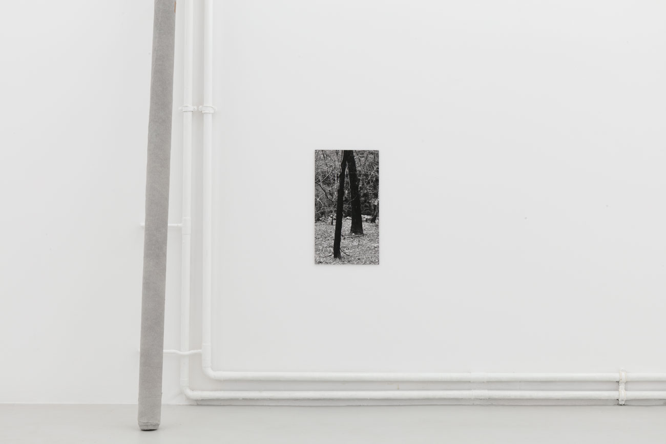 'on what is left' by irene grau