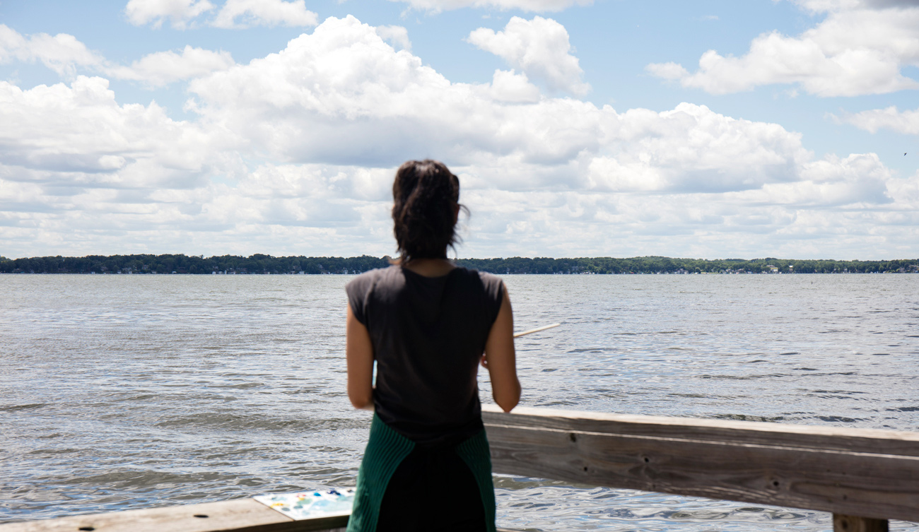 Painting 'Lake Kegonsa, 27/06/2017', Wisconsin, (US)