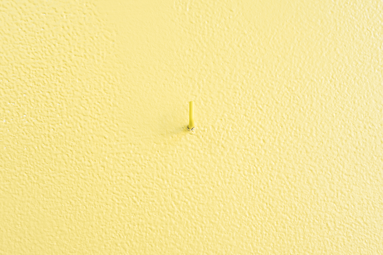 'traveling exhibition' by irene grau