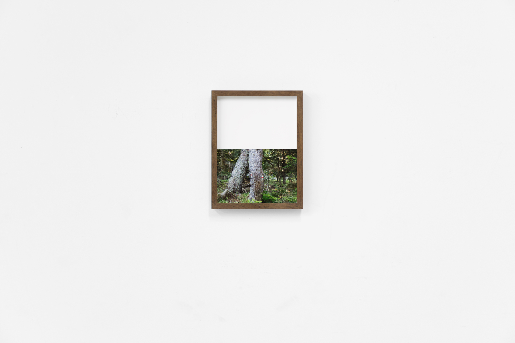 '≠' Painting by irene grau for Maus Contemporary, Birgmingham (US)