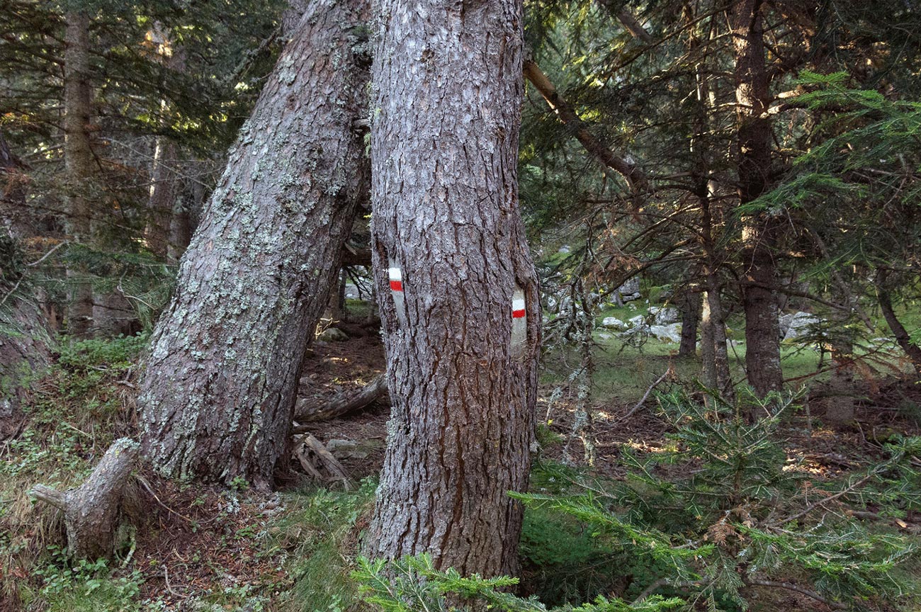 '≠' A4-sized photograph A4-sized photograph by irene grau for Maus Contemporary, Birgmingham (US)